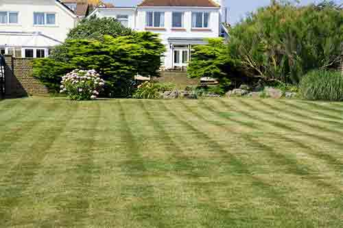 Lawn Care Business Marketing Tips